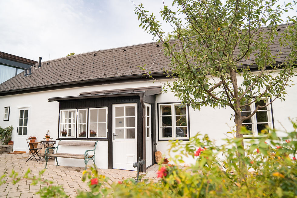 DSC08657 © Stefanie Winter.jpg