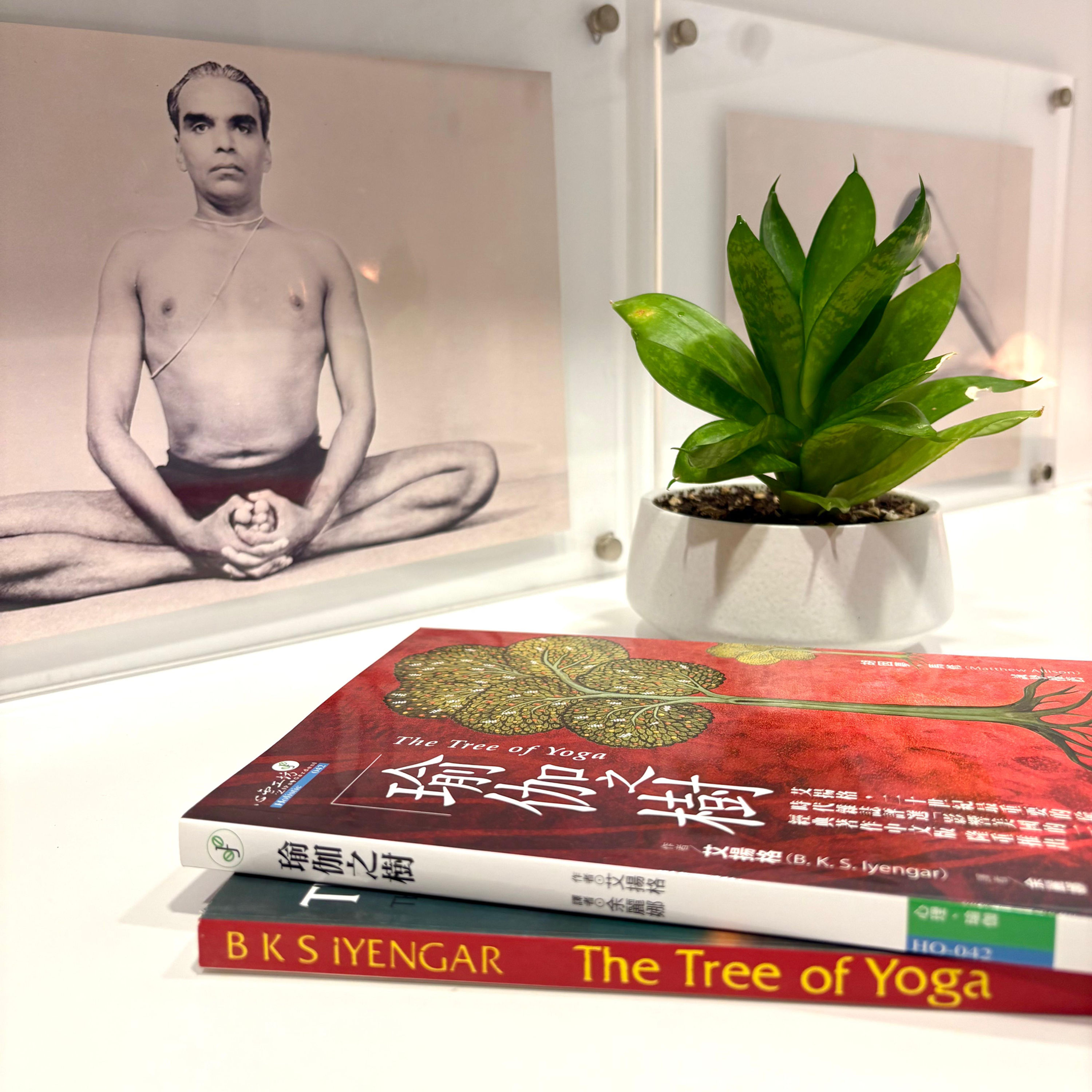 瑜伽之樹(Tree of Yoga中文譯本)