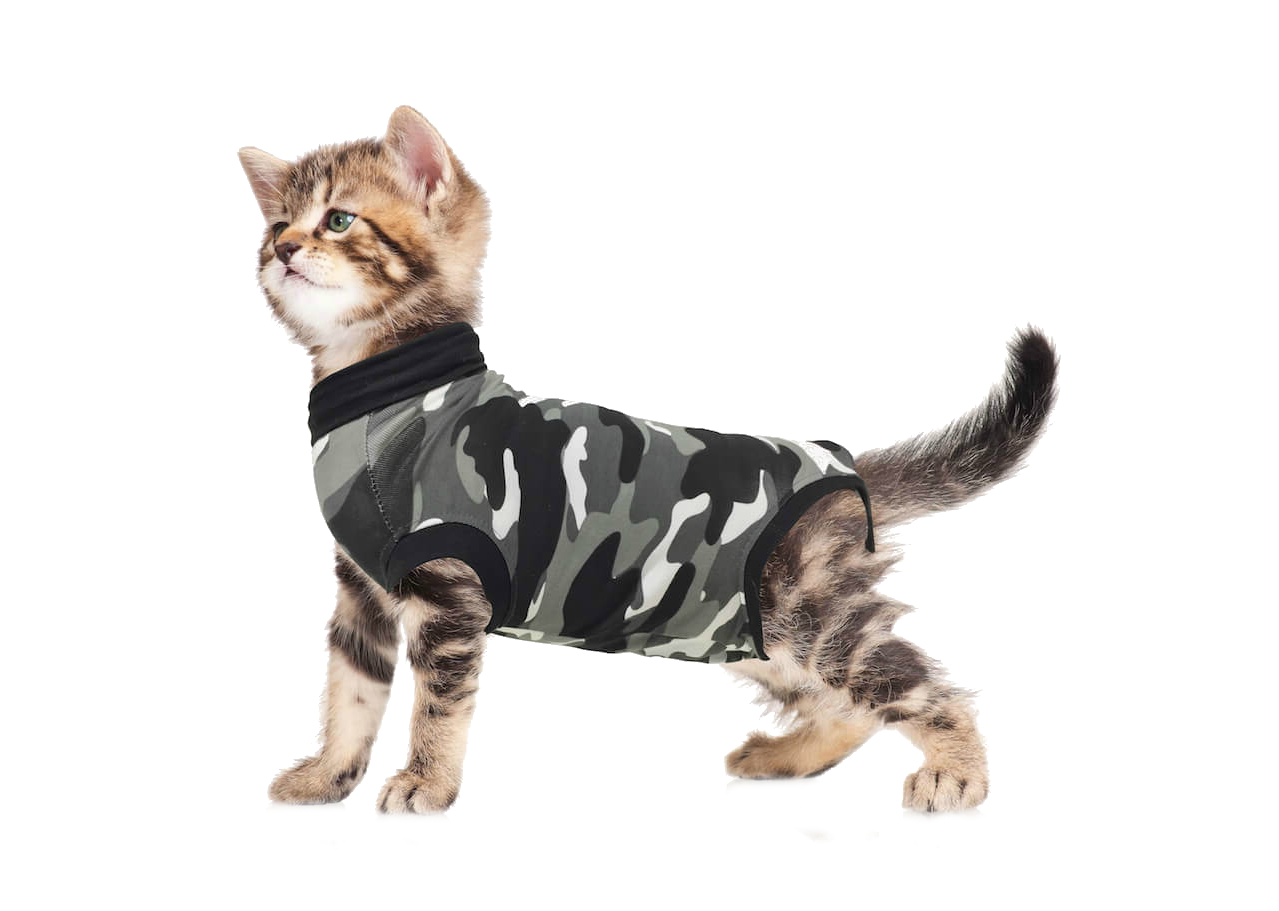 Suitical for cats clearance