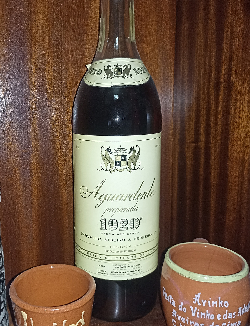 Ana Lúcia Costa Ferreira.jpg