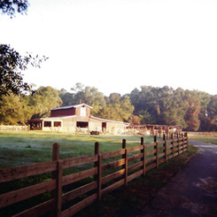 feather oaks 9.jpeg