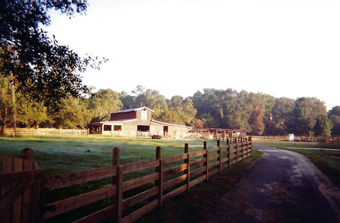 feather oaks 9.jpeg