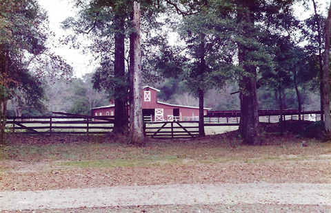 feather oaks 1.jpeg