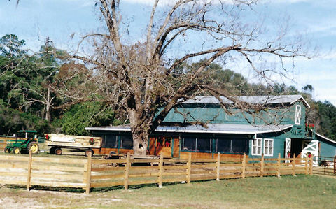 feather oaks 11.jpeg