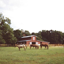 feather oaks 3.jpeg