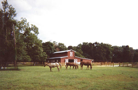 feather oaks 3.jpeg