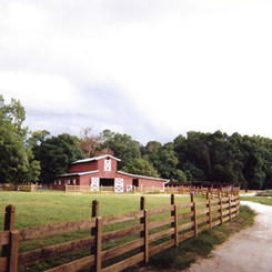 feather oaks 4.jpeg