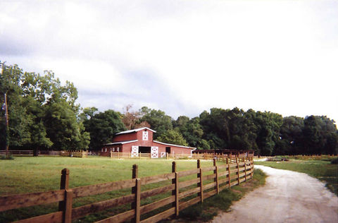 feather oaks 4.jpeg