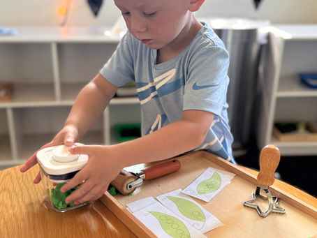 Understanding the Toddler Years: 8 Developmental Stages and How Montessori Supports Them