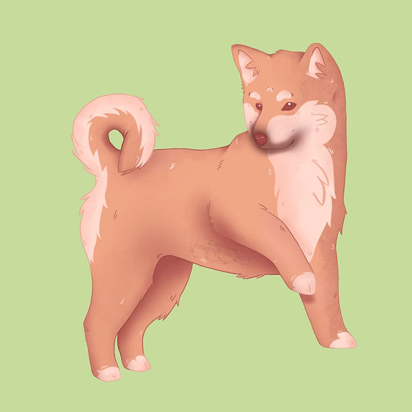 Comission Dog