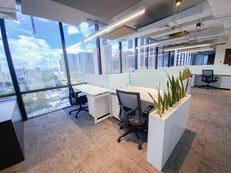 REMODELACIÓN DE OFICINAS. “NUEVAS TENDENCIAS"