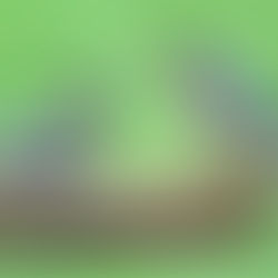 Bird Questions Answered - Where Did All My Goldfinches Go?