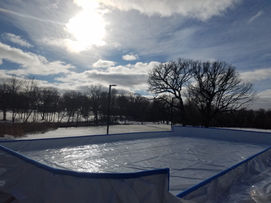 Poly Rink