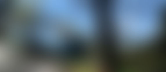 Celebrando la Obra de Dios a Nuestro Favor