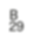 B29_LOGO_BLACK.png