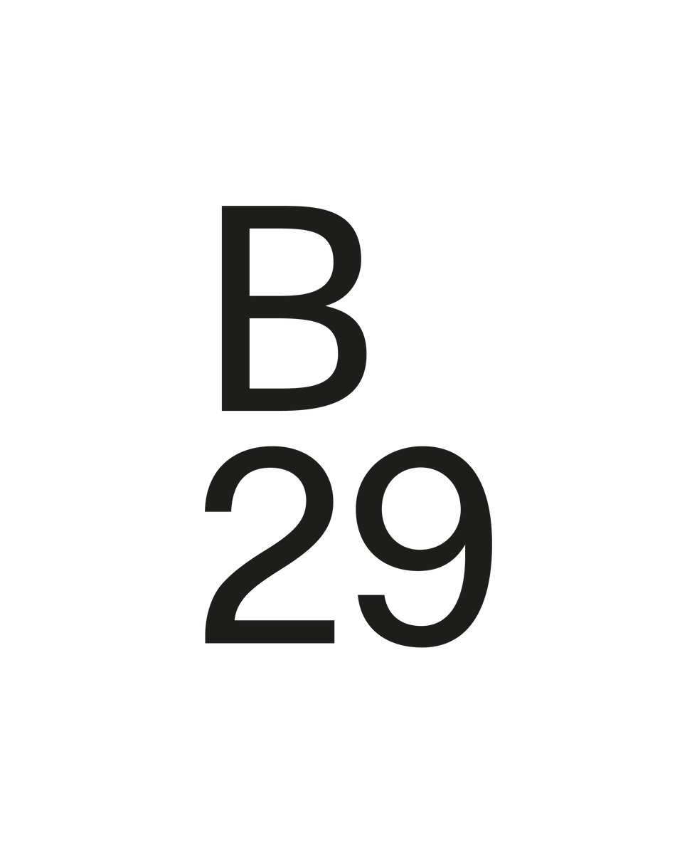 B29_LOGO_BLACK.png