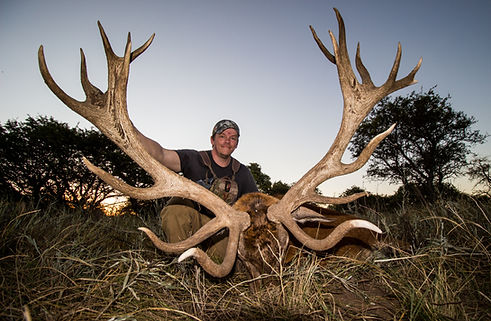red-stag-hunting-argentina.jpg