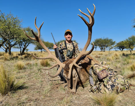 Hunter kneeling behind a trophy free-range red stag in the La Pampa brush