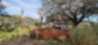 Pampas Ranch (Argentina Heritage Outdoors), La Pampa, Argentina (photo from the lodge website, image 2)