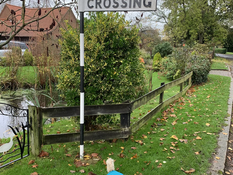 Week 11: Drifting around the Norfolk Broads