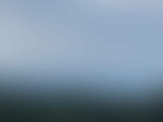 Week 54: PTSD