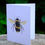 Thumbnail: Bee Notecard Pack