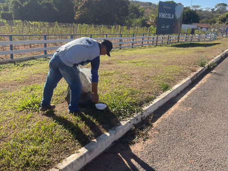 Coleta de lixo nas vias de acesso: 