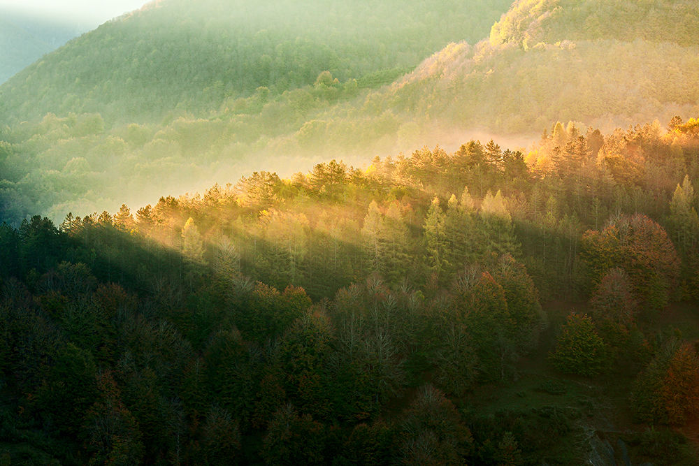 Sunrise in Abruzzo National Park, Italy