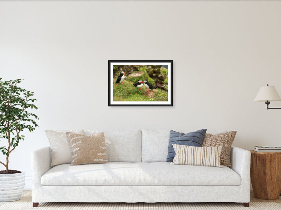 Thumbnail: Puffins in Rauðanes 40x60 cm