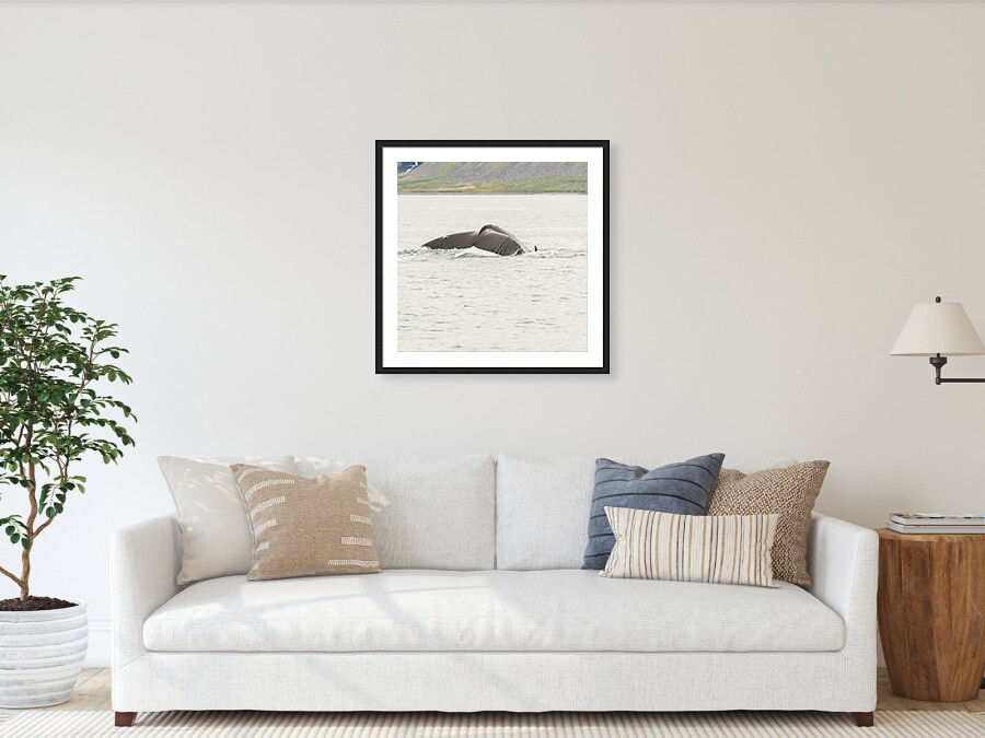 Thumbnail: Whale's Tail in Arnarfjörður 60x60 cm