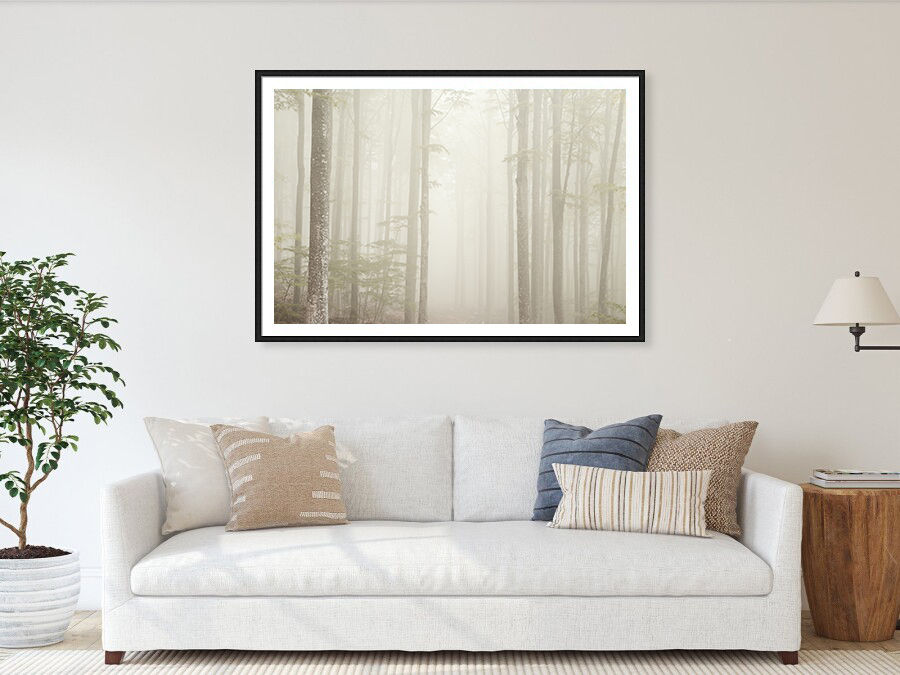 Thumbnail: Dense fog in Mount Amiata forest, Italy 80x120 cm