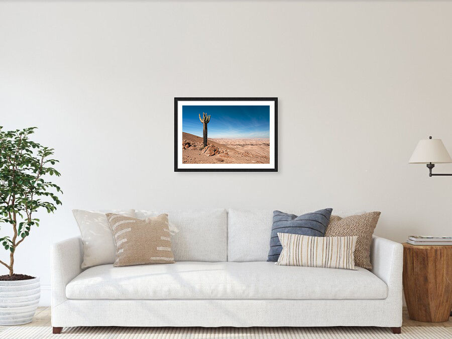 Thumbnail: Pampa Galeras, Barbara D'Achille National Reserve, Peru 40x60 cm