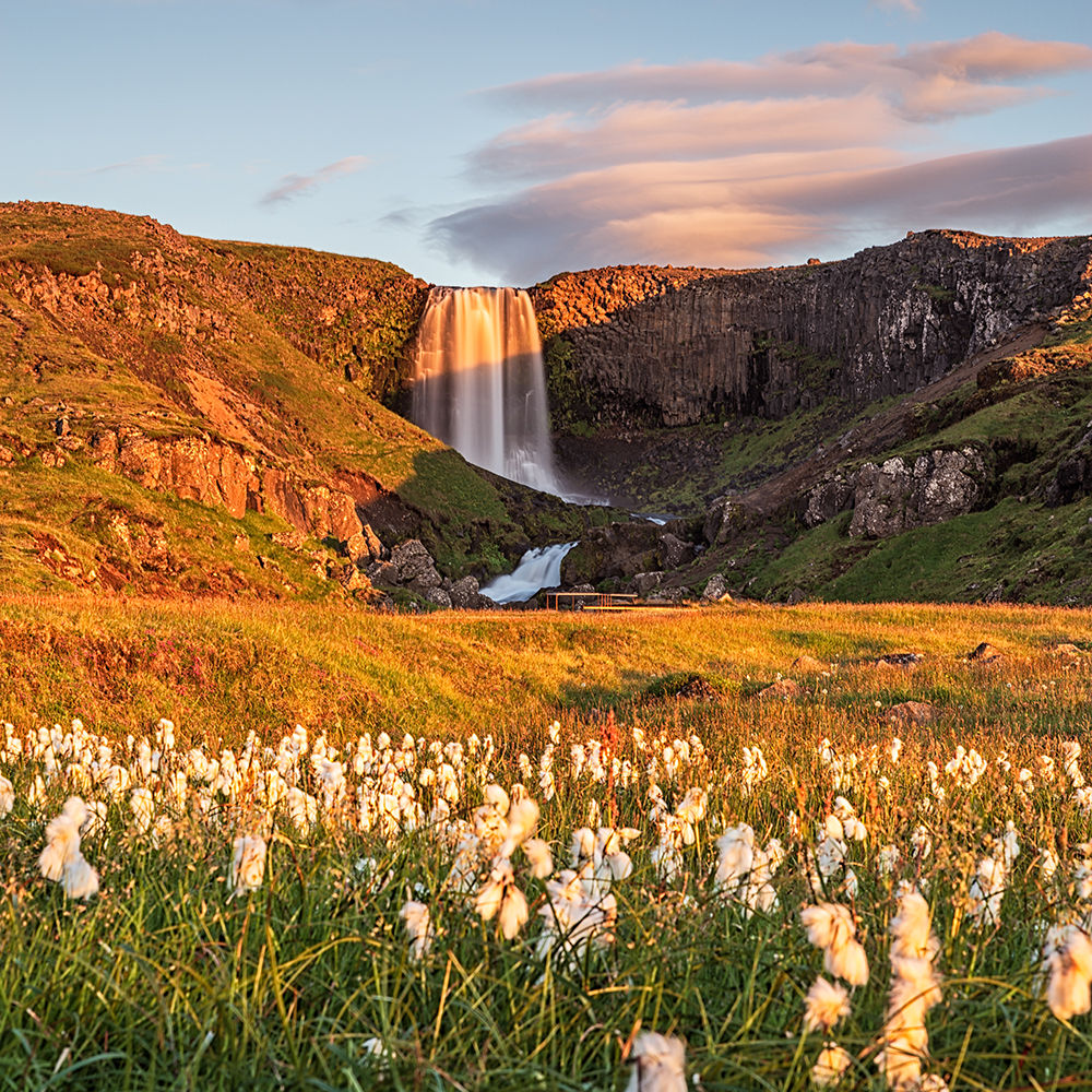 Svöðufoss Waterfall at Sunset in Summer