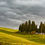 Thumbnail: Little cypress trees in Val d'Orcia, Italy