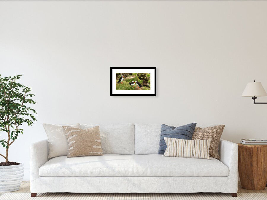 Thumbnail: Puffins in Rauðanes 20x40 cm