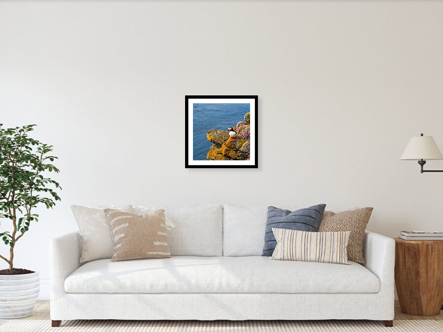 Thumbnail: Puffin in Látrabjarg and Flowers 40x40 cm