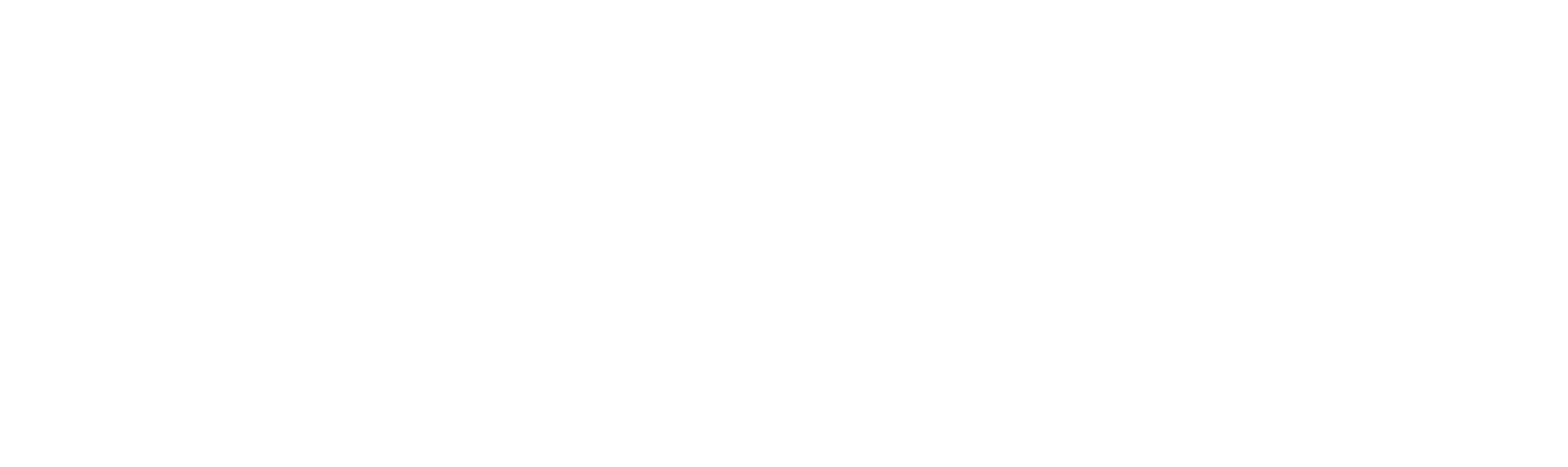 White logo - no background.png
