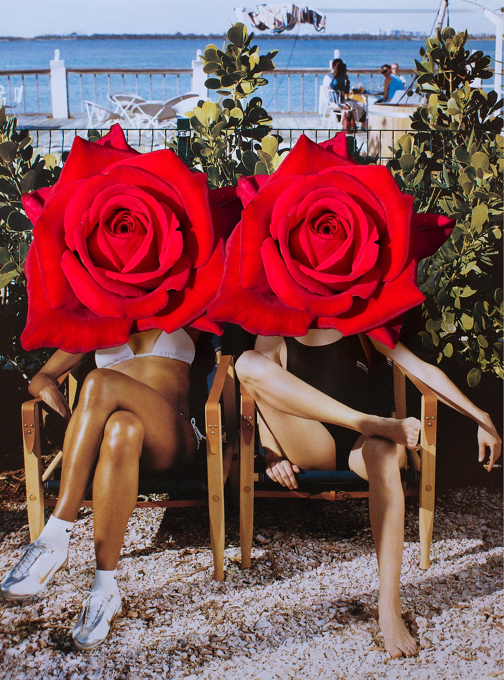 Ladies In Waiting With Red Roses
