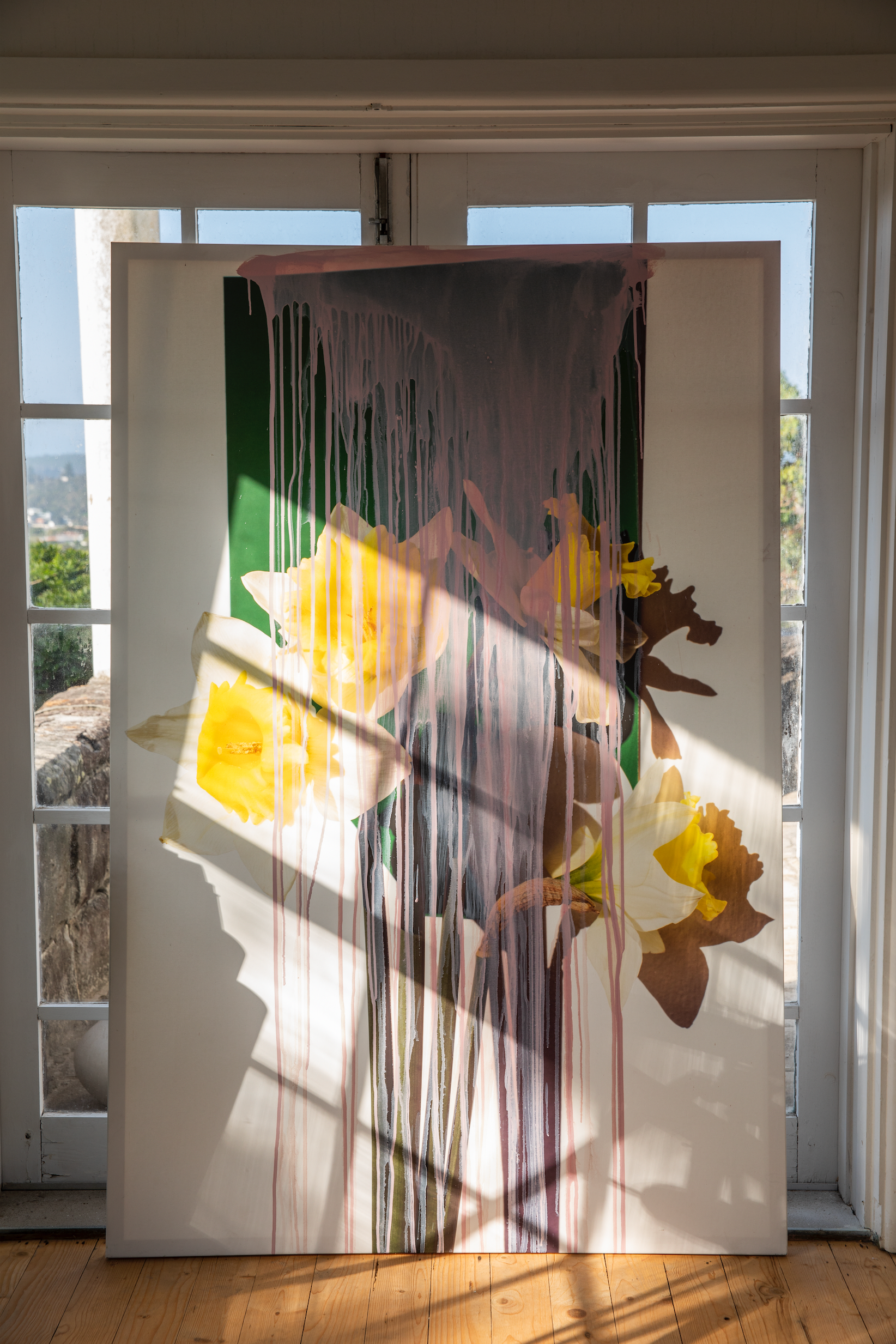 BLOOMS (Daffodils), 2020