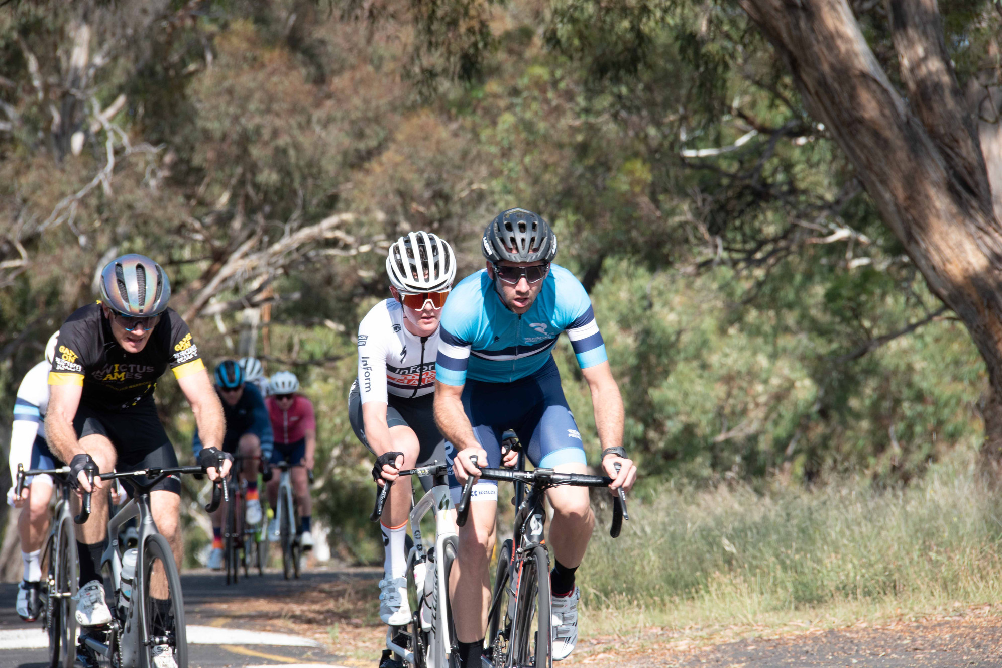 bathurstcyclingclub.com.au
