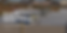 Screenshot 2025-01-16 at 1.30.39 PM.png