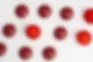 Sirio Europe Debuts LifeChews to Solve Lipid Formulation Challenges | FNBX