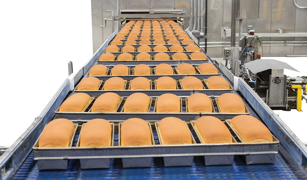 Middleby Rebrands Food Processing Division as Standalone Midera Entity