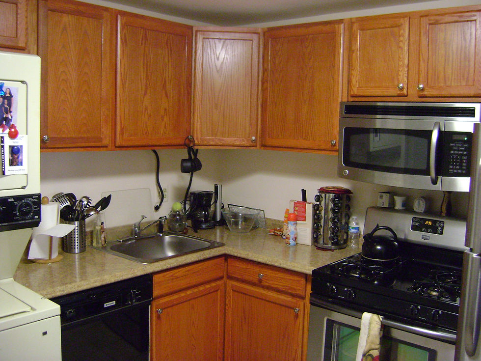 Germany Kitchen Remodel