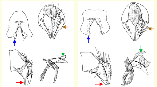 スクリーンショット 2025-12-24 21.49.19.png