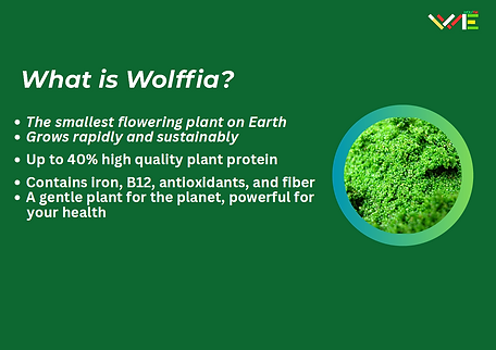 Screenshot 2025-08-19 215442.png