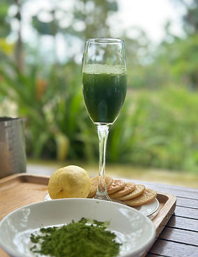 WhatsApp Image 2025-08-19 at 16.41.34_b3eb6c73.jpg