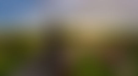 Золотое кольцо России: Суздаль