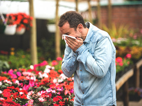 Spring-time Shenanigans: Soothing Hay Fever Eyes
