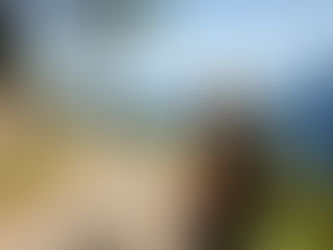 Solo Female Camino Frances: A Complete Safety & Social Guide